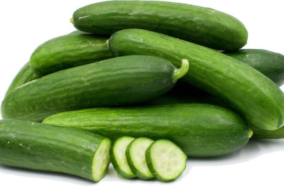 Leading Agricultural Solutions by PV Agro – Quality & Innovation