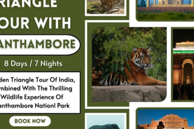 Golden Triangle Tour With Ranthambore