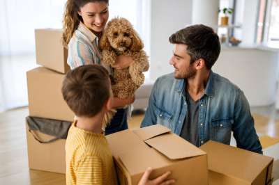 Pet Relocation Services Dubai: A Complete Guide for Pet Owners
